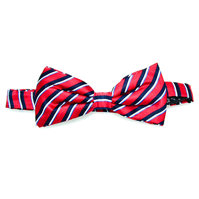 Silk bow tie