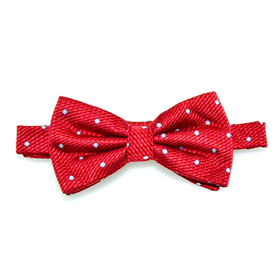 Silk bow tie