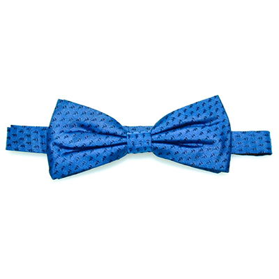 Silk bow tie