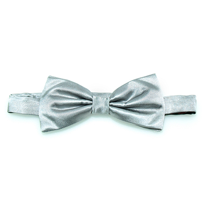 Silk bow tie