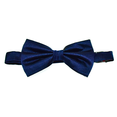 Silk bow tie